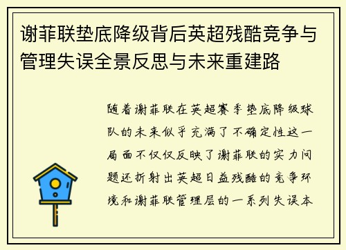 谢菲联垫底降级背后英超残酷竞争与管理失误全景反思与未来重建路